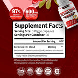 Suplemento de Berberina 1800mg - Alta Pureza, 90 Cápsulas