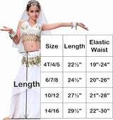 Disfraz de baile para niña Breevo, talla 4T-16, Halloween