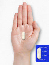 Suplemento Carlyle S.O.D. Cápsulas 300mg 120u Sin GMO Gluten Free