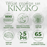 Café de Champiñones Kinoko con MCT, Energía y Enfoque