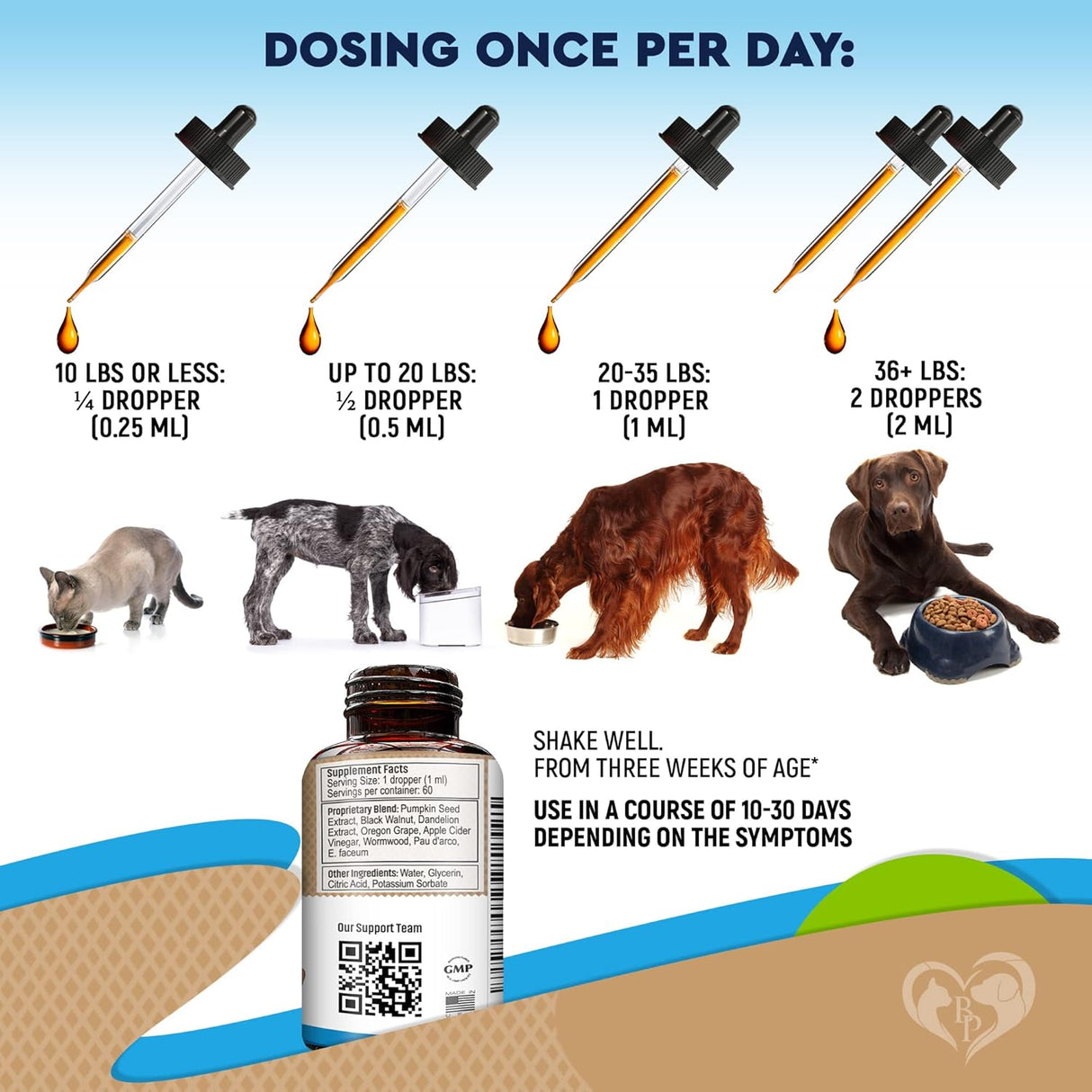 Suplementos natural para gatos con probióticos