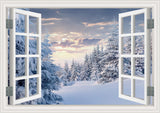 Adhesivo de pared para ventana, mural de pared de ventana