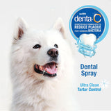 Spray Dental Fresh Breath 4 oz 1 unidad