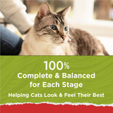 Purina Cat Chow Naturals - Alimento seco para gatos con vitaminas, minerales y nutrientes añadidos, Naturals Original - Bolsa de 12.6 libras (paquete de 4)