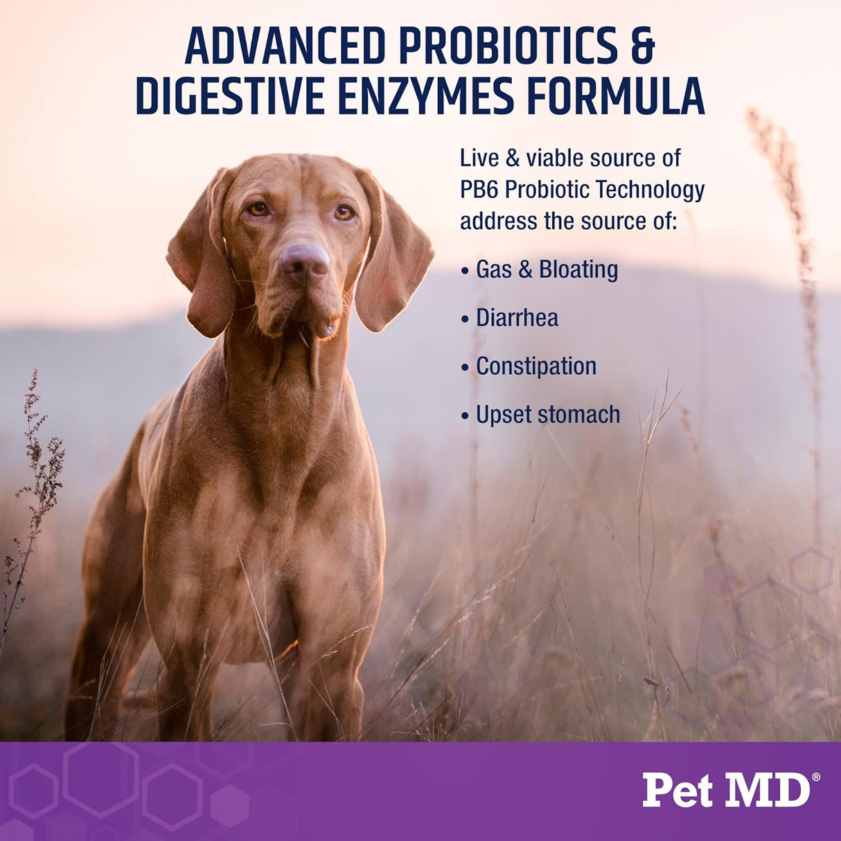 Probioticos y Enzimas para Perros - Pet MD - 60 Chews Digestivos