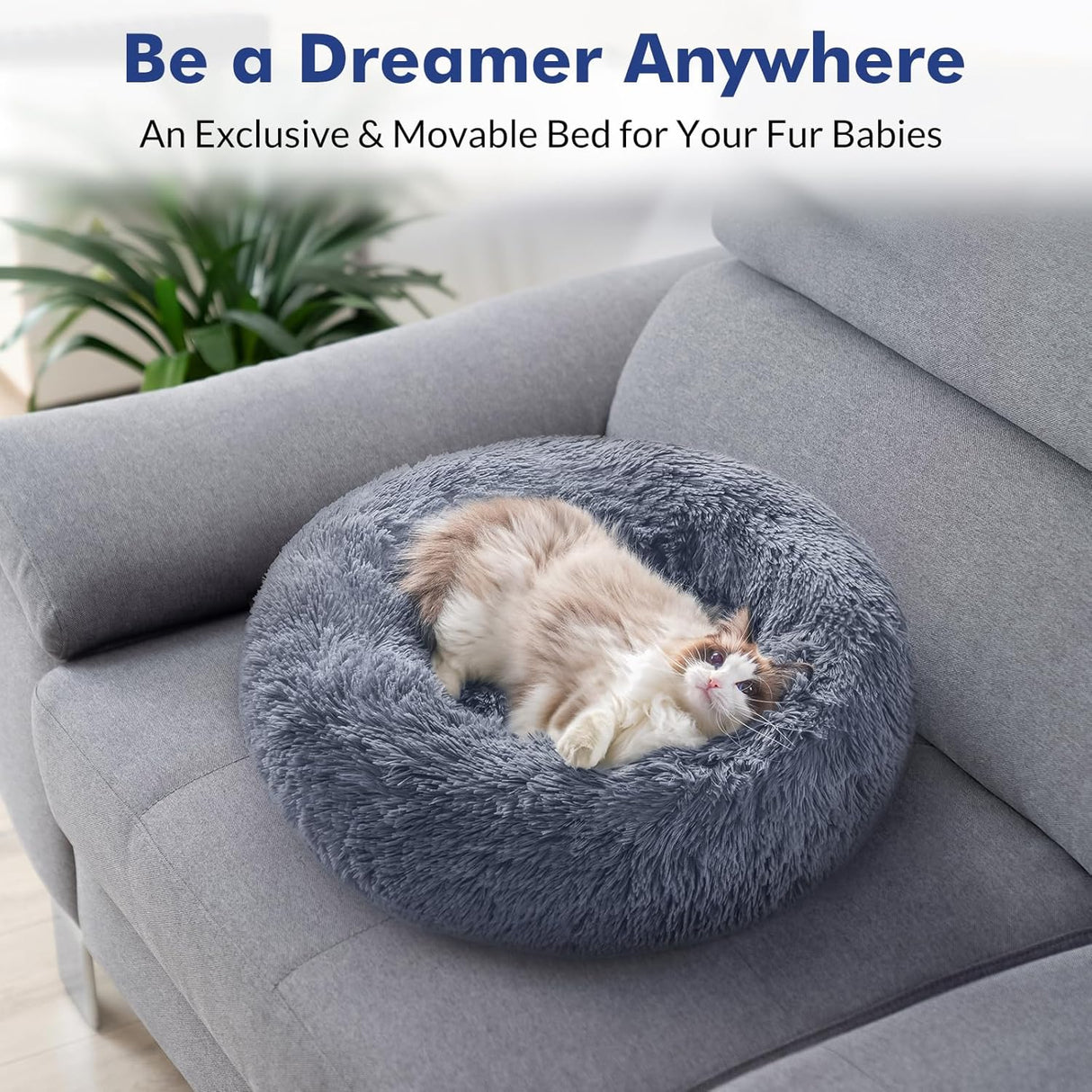 Cama para gatos Rabbitgoo, suave, lavable, tamaño mediano