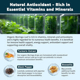 Moringa Orgánico Líquido 2pack Energía y Antiox 1oz