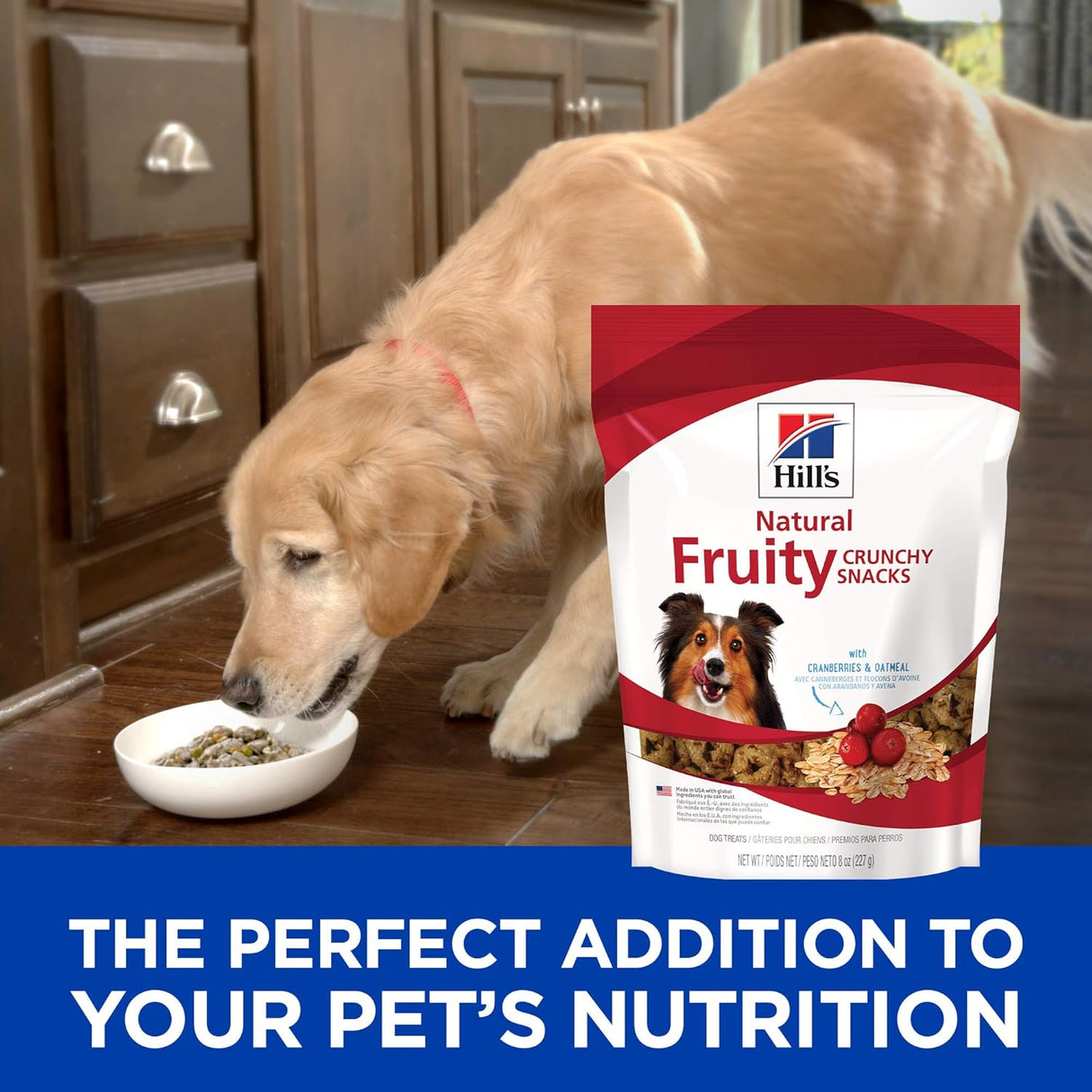 Alimento para Perros crujientes con frutas con arándanos