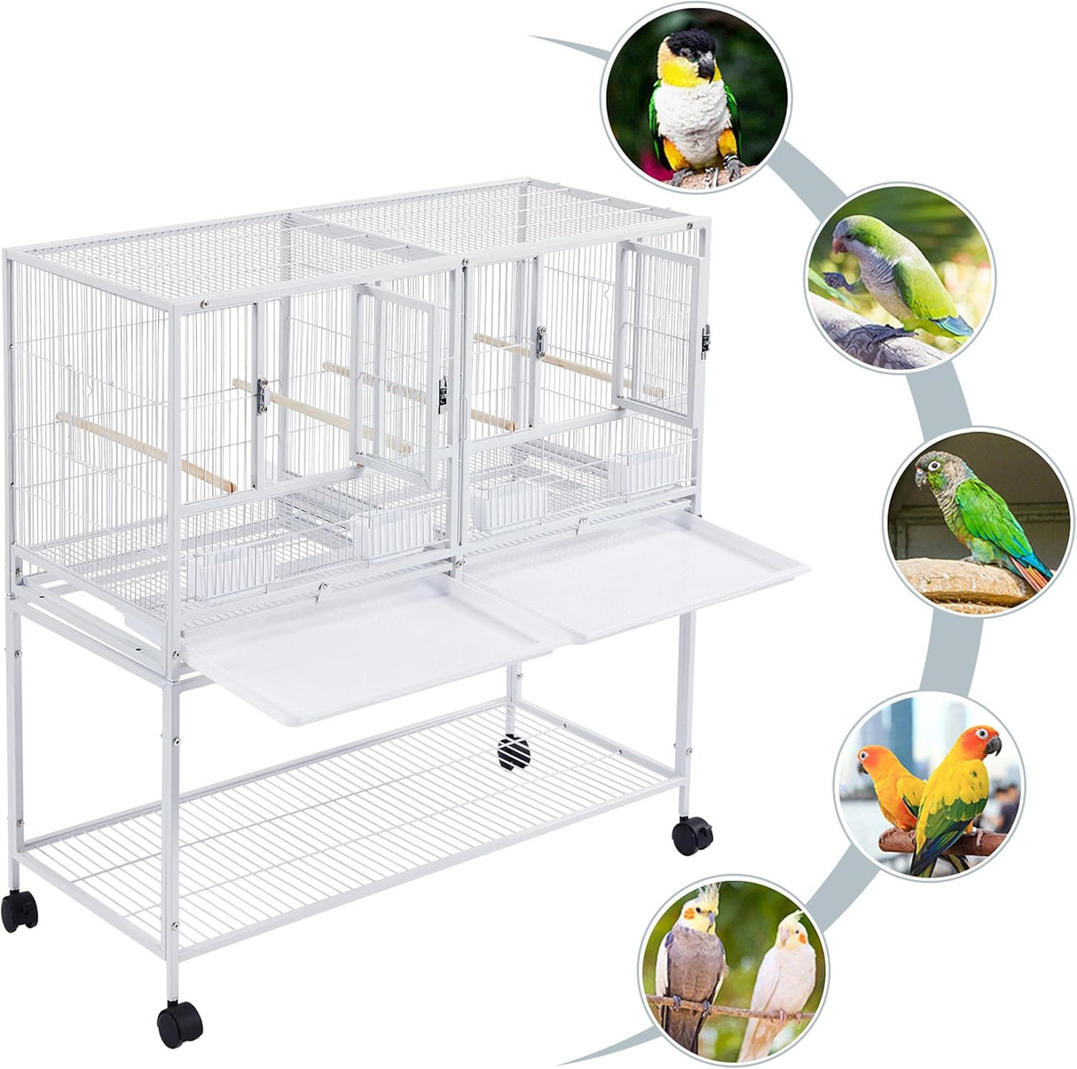 Jaula apilable dividida para cría de aves para canarios