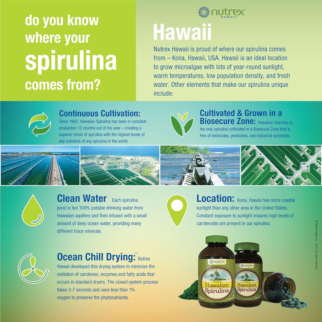 Espirulina hawaiana pura - 1000 mg comprimidos 180 recuento