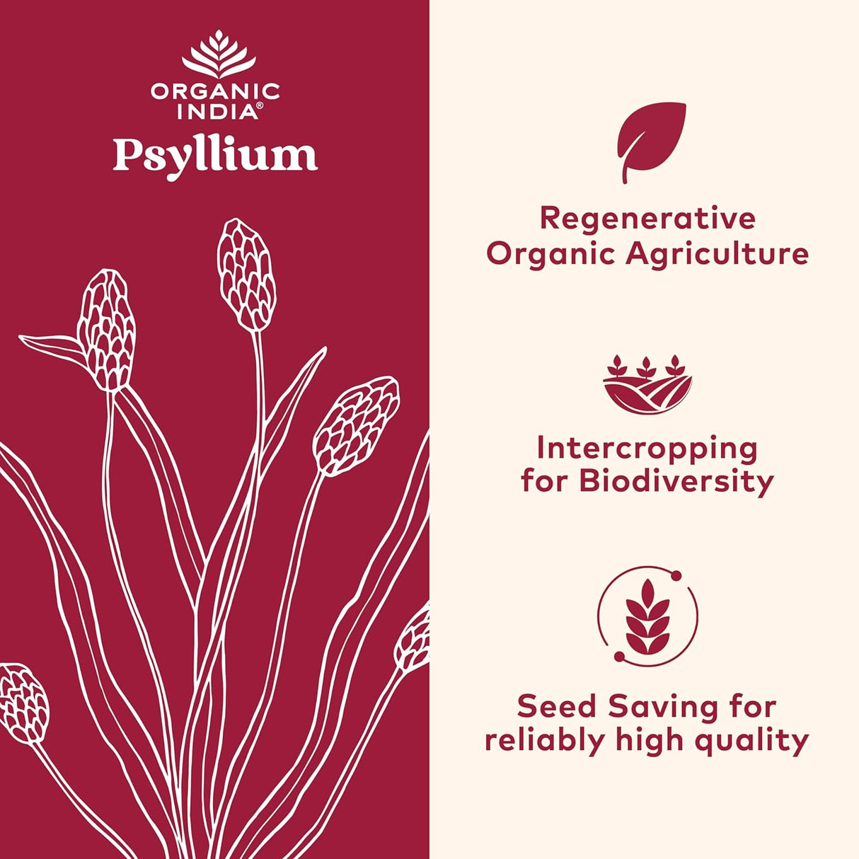 Polvo de Psyllium Orgánico - Fibra de Cáscara, Vegano, Sin Gluten