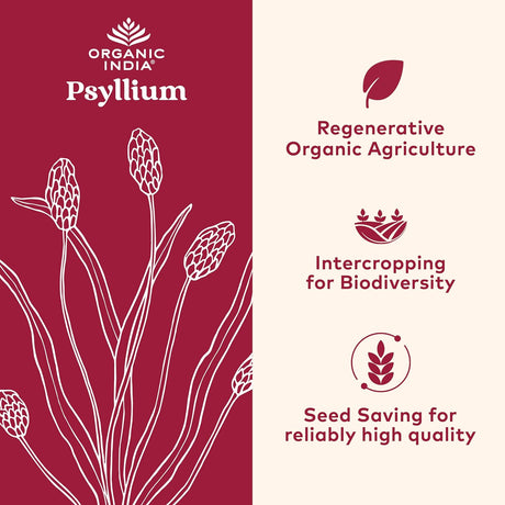 Polvo de Psyllium Orgánico - Fibra de Cáscara, Vegano, Sin Gluten
