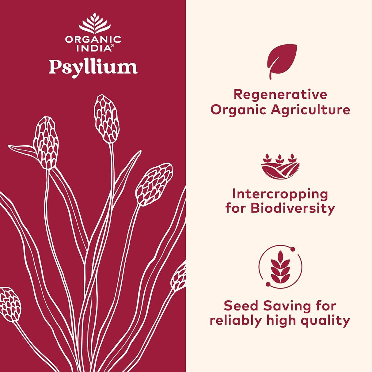 Psyllium Herbal Powder ORGANIC INDIA - Fibra Orgánica 12 oz