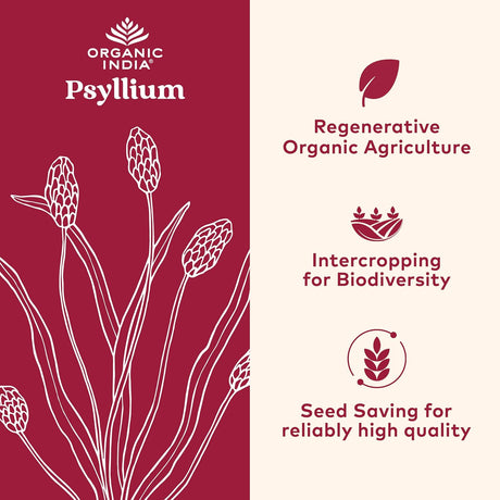 Psyllium Herbal Powder ORGANIC INDIA - Fibra Orgánica 12 oz