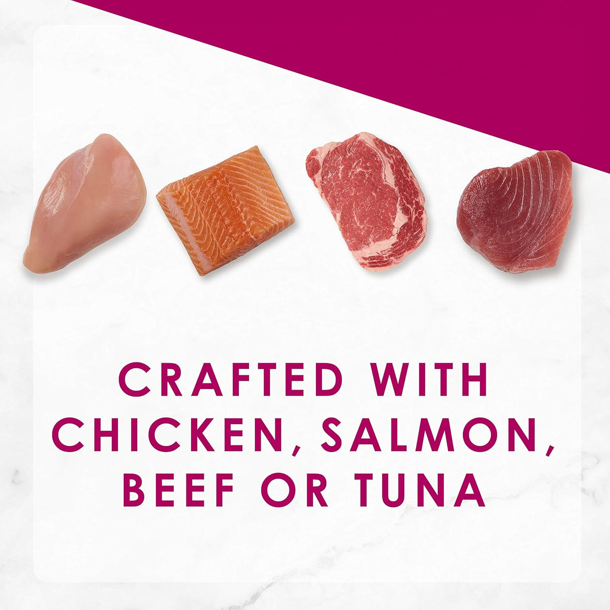 Alimento para Gato húmeda Pack of 24 de 3 onz