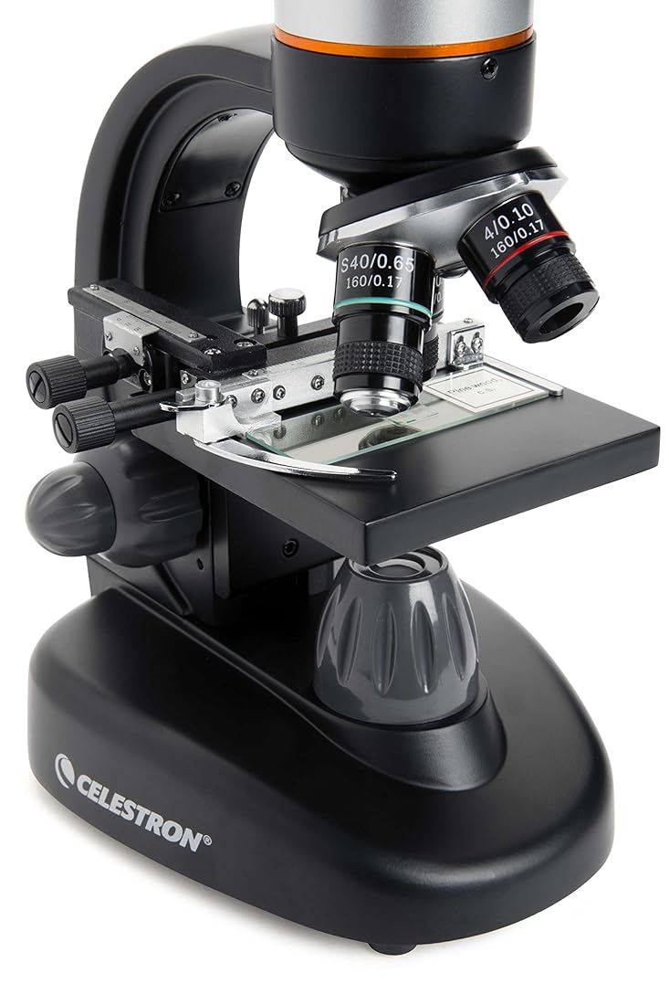 microscopio