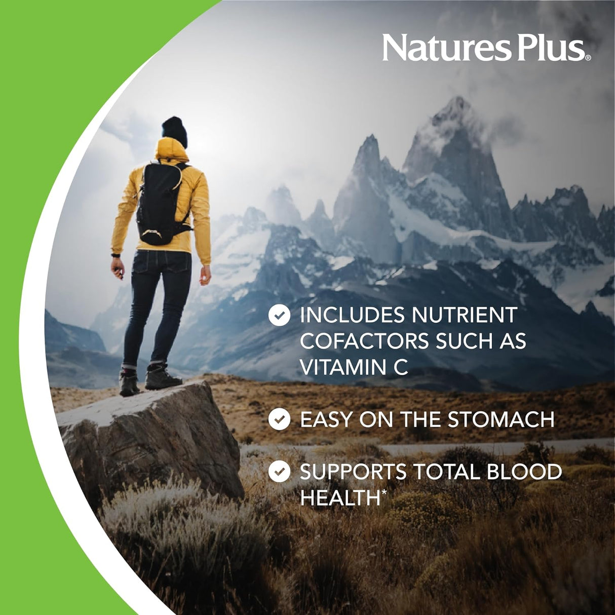 NaturesPlus Hema-Plex Iron - 60 masticables de bayas mixtas - 85 mg de hierro elemental - Salud total de la sangre - con vitamina C y bioflavonoides - Vegano, sin gluten - 20 porciones
