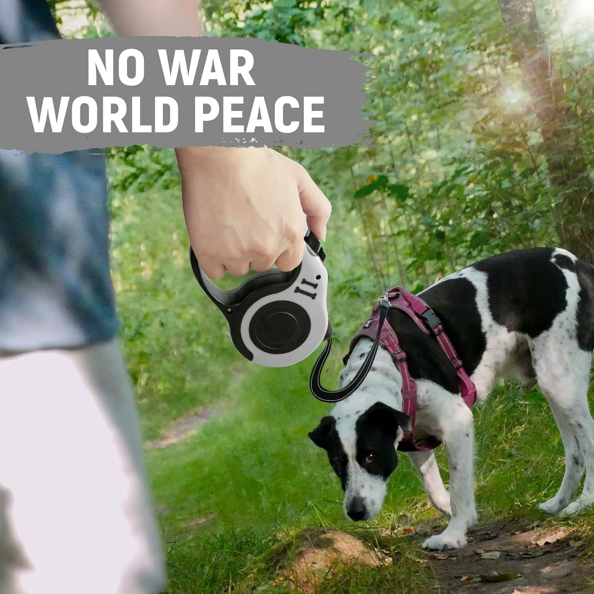 Correa Retráctil para Perros con Accesorios 10/16 FT Duradera