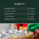 Suplementos Alimenticios en polvo con cúrcuma orgánica
