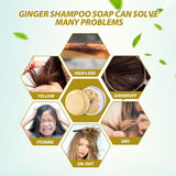 Shampoos y Acondicionadores 2 barras de champú de jengibre