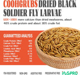 Larvas de mosca secas de alta calidad, para gallinas y demas