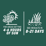 Mezcla de Césped Sol y Sombra Pennington 3 lb - Semilla Inteligente