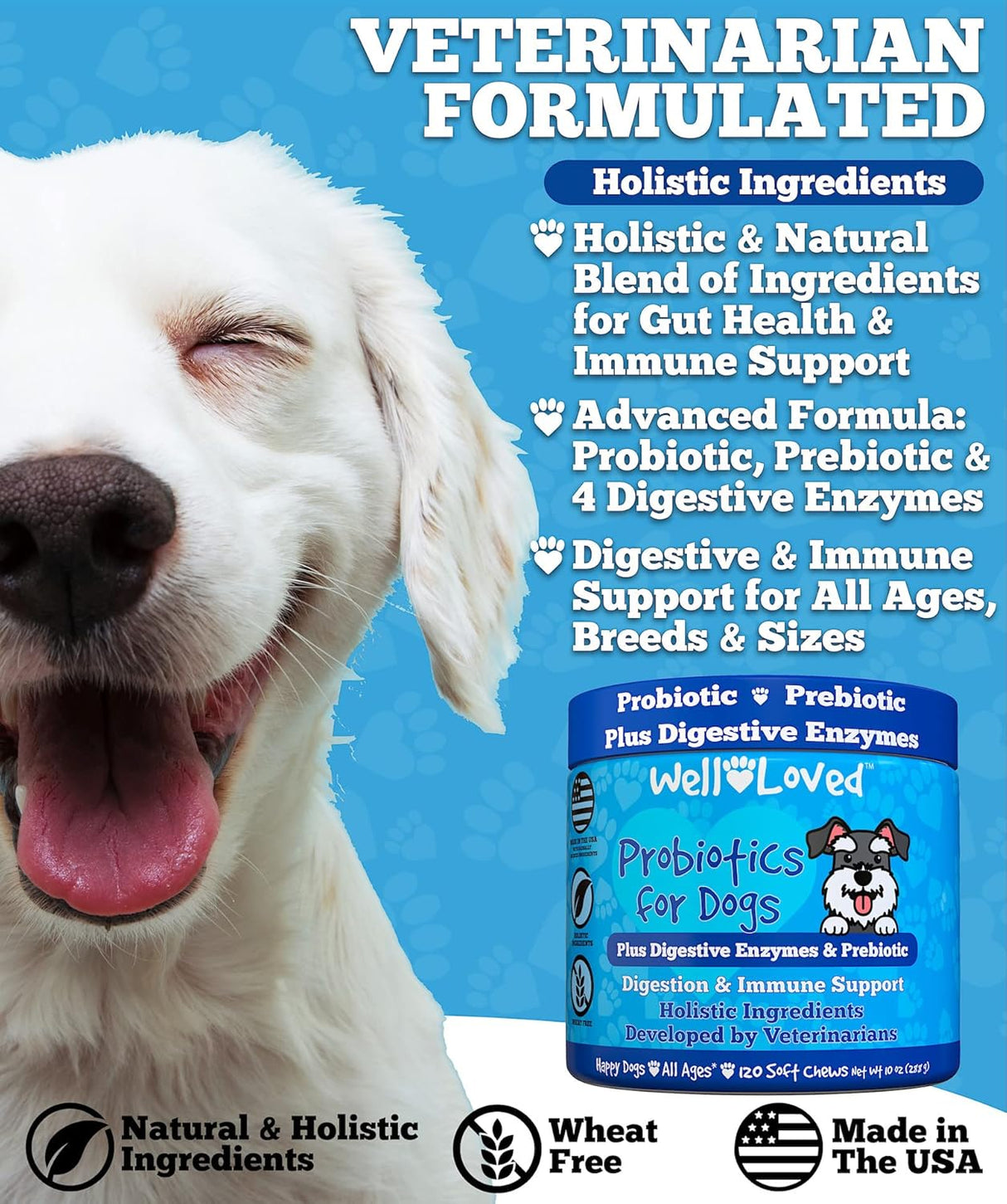Vitaminas perros Probióticos para perros y enzimas