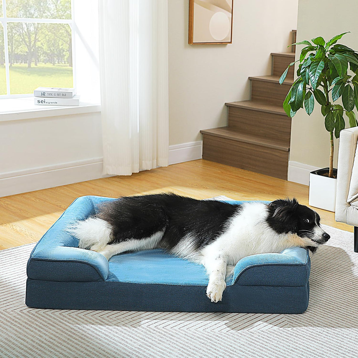 Cama ortopédica para perros PAWZ Road, lavable, tamaño mediano