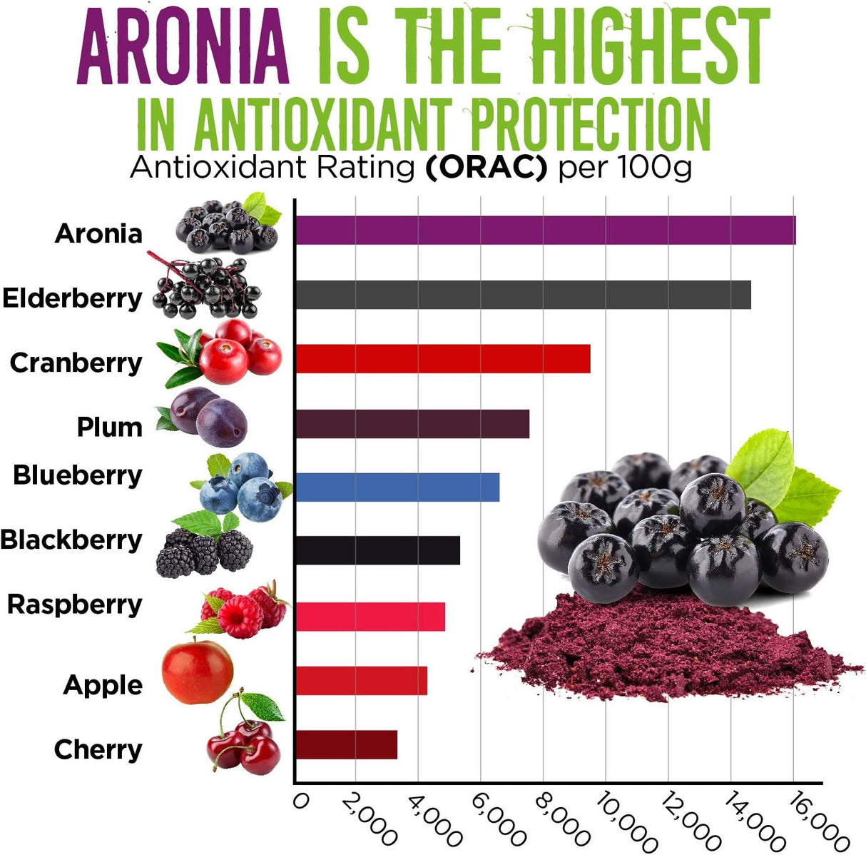 Suplemento  Aronia Berry Powder Jugo denso antioxidante