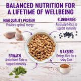 Alimento seco para perro, salud natural, libre de cereales