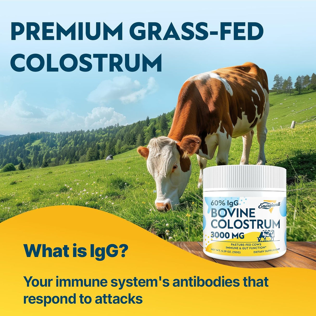 Suplemento de Colostro Bovino 3000 mg 60% IgG, 50 Porciones