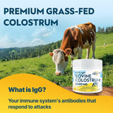 Suplemento de Colostro Bovino 3000 mg 60% IgG, 50 Porciones