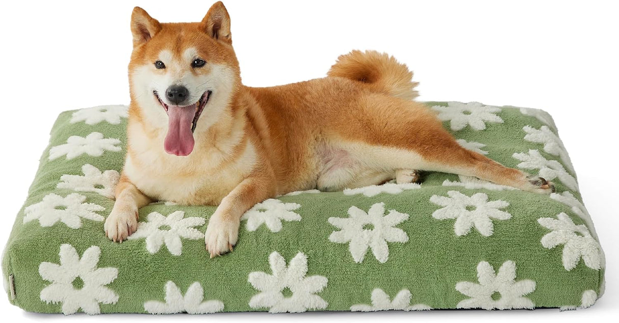 Cama para perros de espuma triturada gruesa felpa mullida