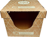 Caja de arena biodegradable de entrada superior o lateral