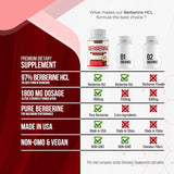 Suplemento de Berberina 1800mg - Alta Pureza, 90 Cápsulas