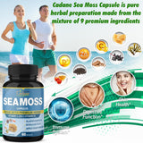 Cadane Cápsulas de Musgo de Irlanda con Vitaminas y Hierbas, 2Pack