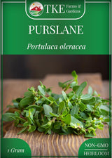 Semillas de Purslane - TKE Farms, 2000+ Semillas No GMO
