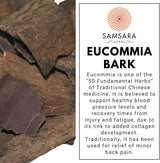 fibra original Eucommia extracto concentrado