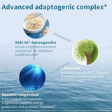 Complejo Adaptógeno Igennus: Ashwagandha, L-Teanina, Magnesio