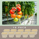 Paquete de 10 Cubos Holandeses - Bato Buckets 11 Litros - Siphon