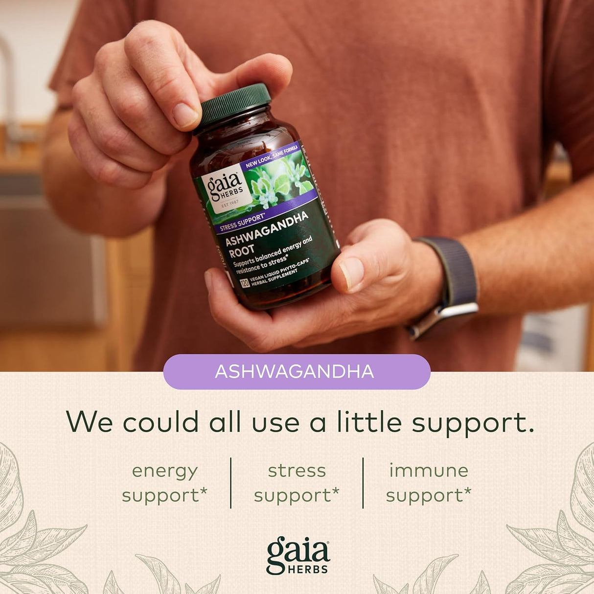 Cápsulas de Ashwagandha, Gaia Herbs, 60 Cápsulas, Energía y Ánimo