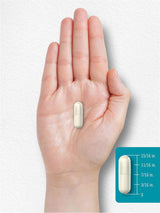 Suplemento de colágeno con ácido hialurónico 500 mg  90 cáp