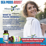 Power By Naturals Sea Moss Cápsulas Orgánicas con Aceite de Semilla Negra y Elderberry
