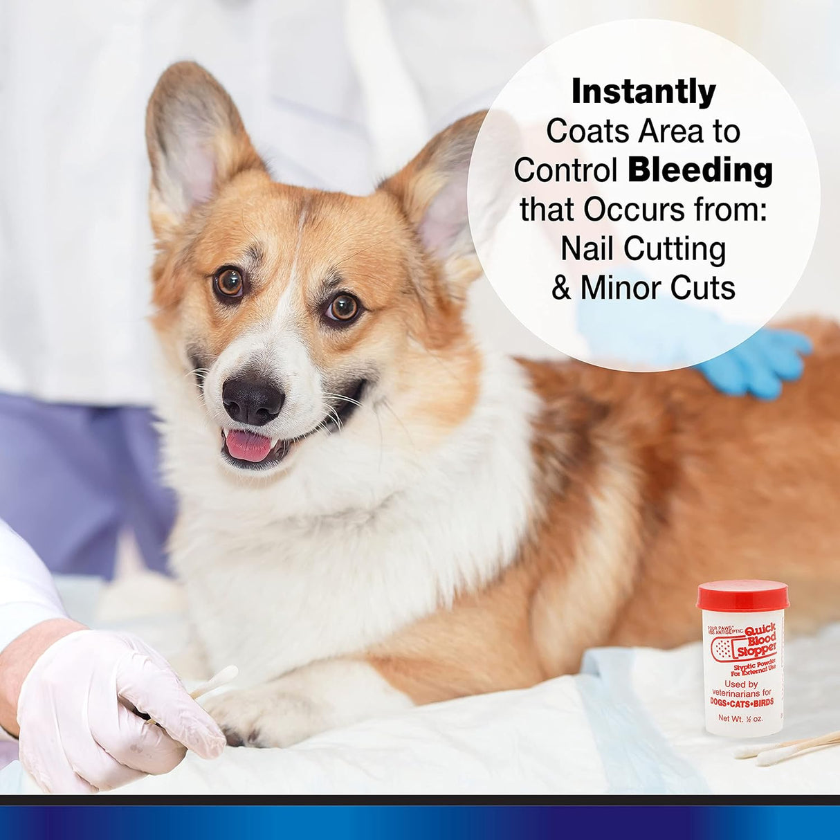 Vitaminas Suplementos y remedios para perros y gatos