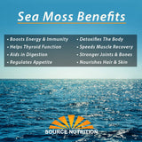 Moss Marino Salvaje Crudo, Orgánico, Para Gel y Smoothies