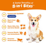 Vitaminas para perros para cadera y articulaciones