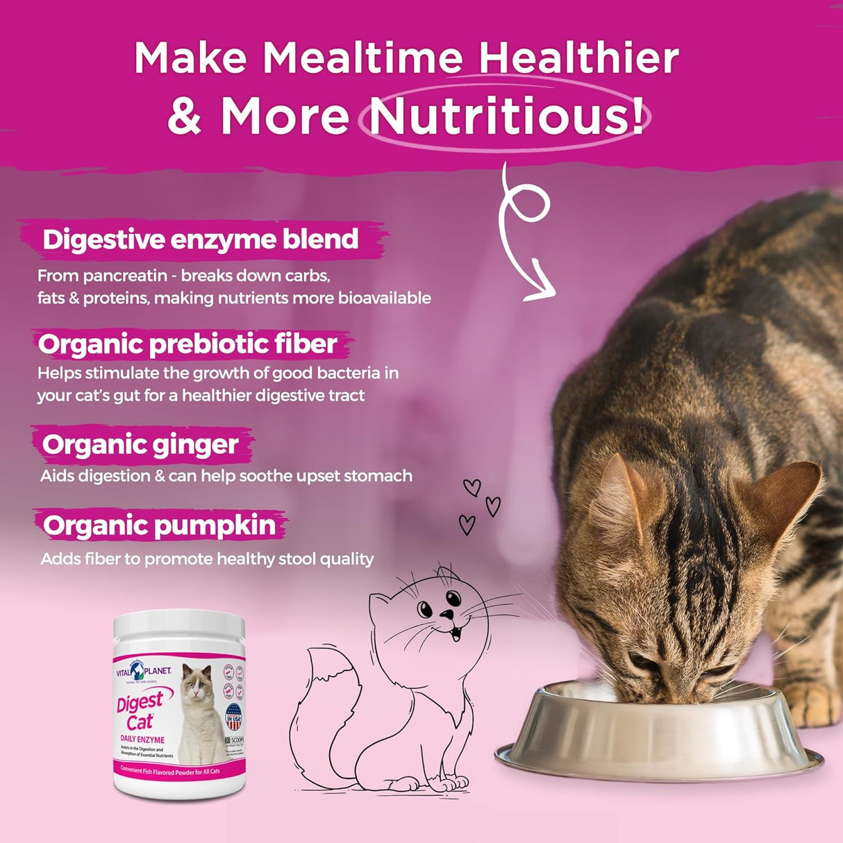Enzimas Digestivas para Gatos Vital Planet con Calabaza y Jengibre