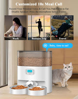 Comedero automático para gatos de 6L y Dispensador