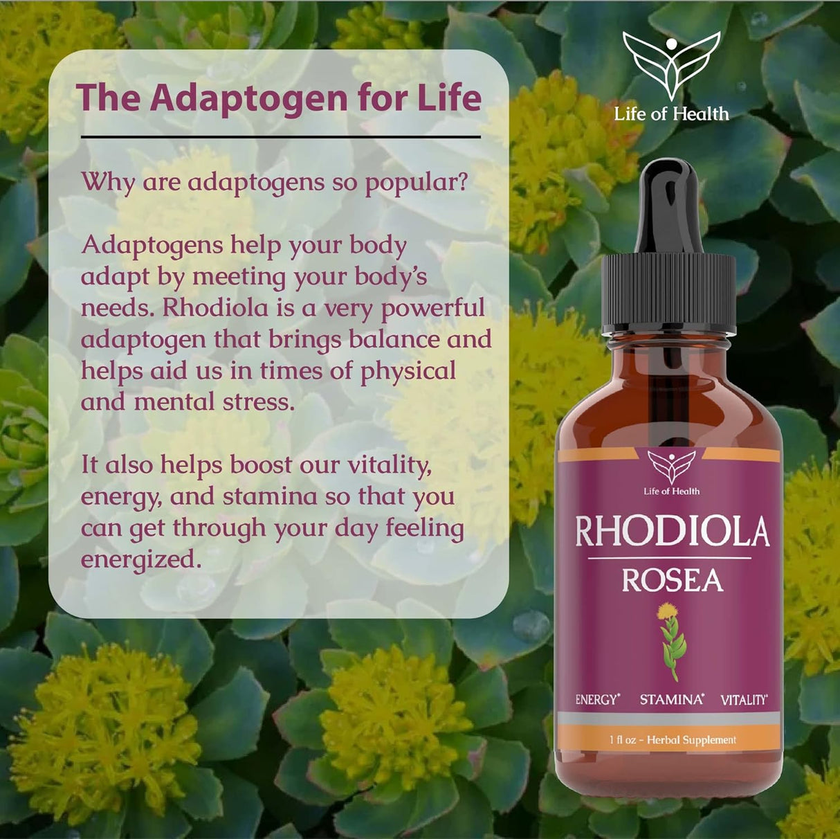 Suplemento Rhodiola Rosea Tintura apoyo cerebral 1 oz