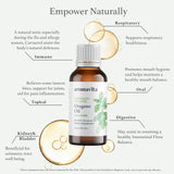 Aceite Esencial de Orégano Puro Extra Fuerte 86% Carvacrol